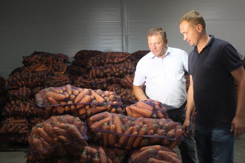 В Ростовской области наращивают производство овощей